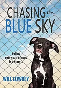 Persiguiendo el cielo azul – Reseña editorial – The Book Review Directory